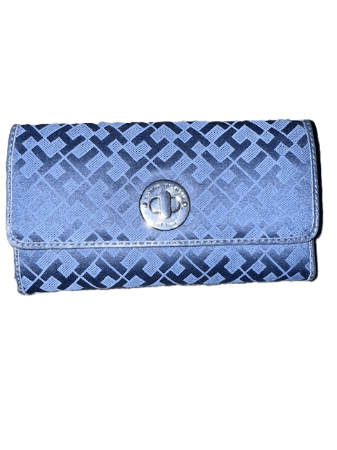 Blue patterned clutch with silver clasp.